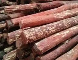 What Is Sandalwood And Where Can It Be Found In India Quora