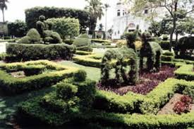 Resultado de imagem para batatais sp