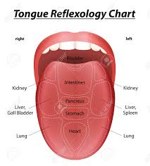 Tongue Reflexology Chart With Description Of The Corresponding