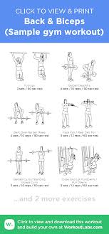 Back Biceps Sample Gym Workout Illustrated Exercise