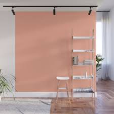 peach solid color wall mural by