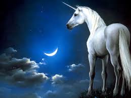 Image result for unicorn