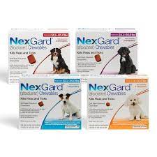Afoxolaner enters the blood stream and does not penetrate to the surrounding tissues so fleas and ticks do need to. Nexgard For Dogs And Puppies Free 2 Day Shipping Walmartpetrx Com