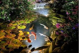 30 Beautiful Koi Pond Ideas For Your