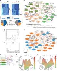 complex genetics of human character