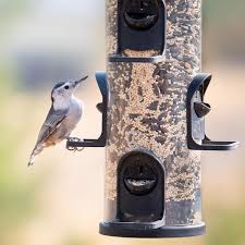 Xl Tube Hanging Bird Feeder