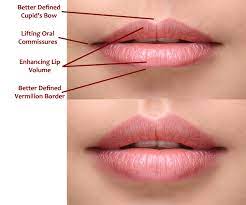 lip fillers and cheek fillers