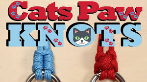Learn how to tie the cat's paw knot! How To Tie Cats Paw Knots Youtube