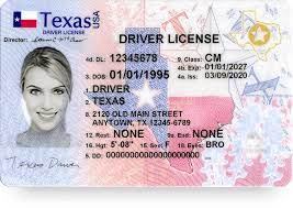 Texas.gov gambar png