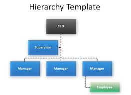 customized hierarchy diagram for