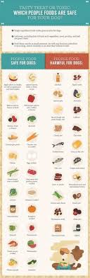 Toxic Food For Dogs Chart Goldenacresdogs Com