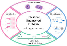 Intestinal Engineered Probiotics As