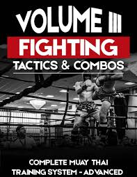 ultimate muay thai training system by