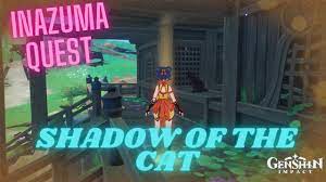 Shadow of the cat genshin
