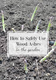 how to use wood ashes in the garden
