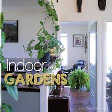 Indoor Garden Sanctuary