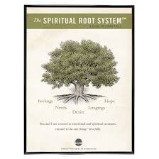 Spiritual Root System