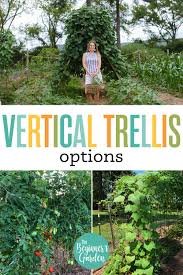 best trellis direction for vertical