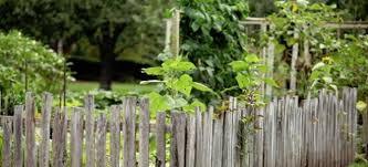 6 Inexpensive Ideas For Garden Fencing