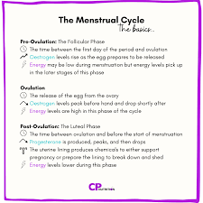 the menstrual cycle hormones energy
