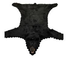 canadian black bear rug