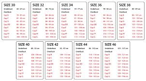 11 Described 34h Bra Size Chart