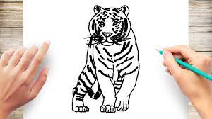 how to draw white tiger you