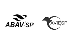 Abav-SP e Aviesp fazem convenção on-line no dia 26 de novembro - Portal  Radar