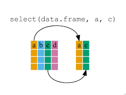 data frame manition with dplyr