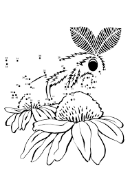 ~ 8.5 x 11 inch pdf. Coloring Page Moth Free Printable Coloring Pages Img 20902