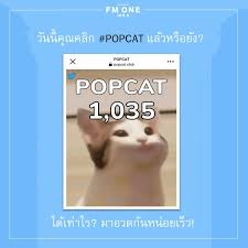 คนไทยร่วมใจกดแมวรัวๆ เกม popcat หลังโดน ไต้หวัน พยายามแซงขึ้นอันดับ 1. Aumereeflz3ijm