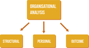 Step 3: Conducting an organisational analysis | European Institute for  Gender Equality