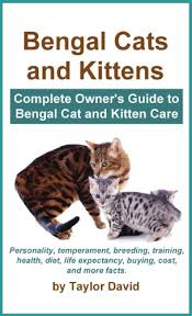 Ashmiyah bengal cats breed pedigree bengal kittens for pet and show homes. Bengal Cats And Kittens Complete Owner S Guide To Bengal Cat And Kitten Care Ebook David Taylor Amazon Com Au Kindle Store