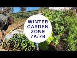 Winter Gardening Tips For Zone 7a 7b