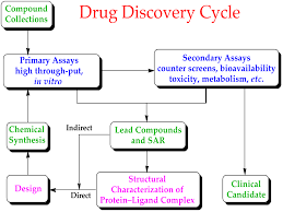 Drug Design Wikipedia