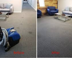 carpet cleaning services all building