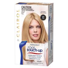 Root Touch Up Clairol Nice N Easy