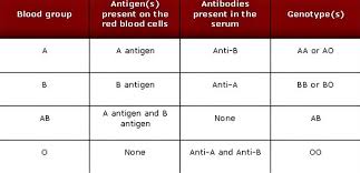 human blood types explained how do