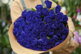 blue rose meaning and symbolism in