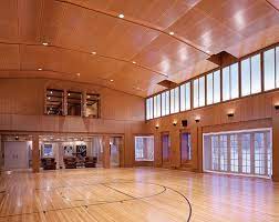 Home Court Advantage Indoor Hoops