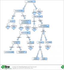 6 Parasitology Flowchart College Notes Microbiology