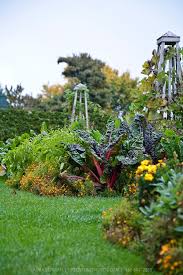 Mixed Vegetable Herb And Flower Garden