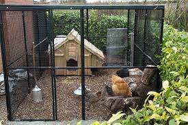 Rat Proof En Cage And Free Ranging Run