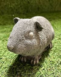 Guinea Pig Concrete Garden Ornament Pet