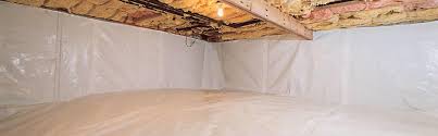 Mold Dust Mite Control In Omaha