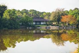 morikami museum and anese gardens to