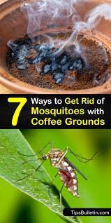 coffee grounds for mosquitoes repel