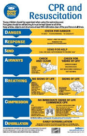 Cpr Chart Cpr Sign Pvc Aussie Gold
