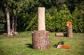 carving a wooden owl with your chainsaw