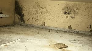Water Damage Insurance Claims Lookmold